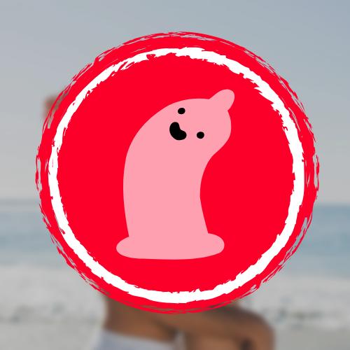 526510143 1063595152654571 2244907841452655935 n